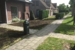 Verticuteren en her inzaaien van gazon in voortuin