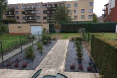 heraanleg tuin met diverse planten